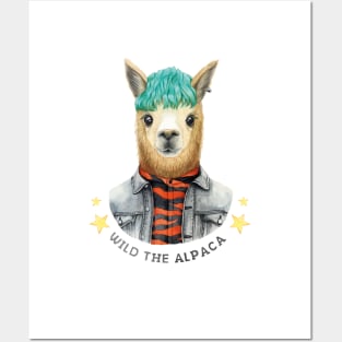 Watercolor Wild the alpaca Posters and Art